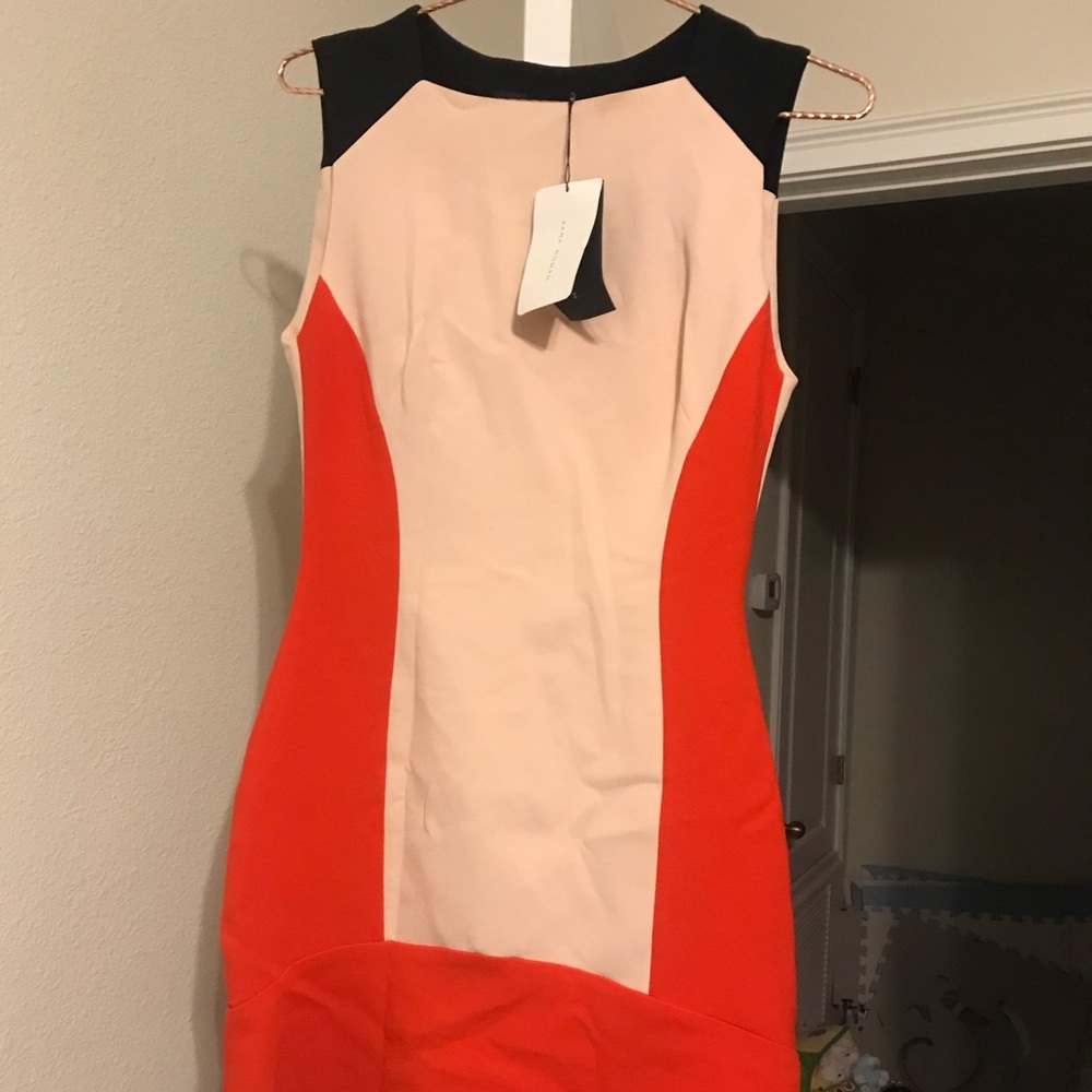 Zara colorblock dress